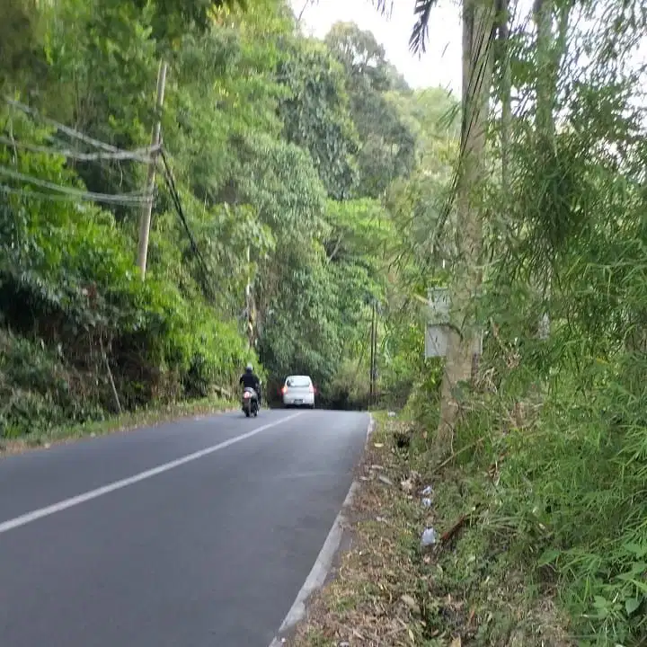 LAND FOR SALE IN MAIN ROAD KELIKI UBUD