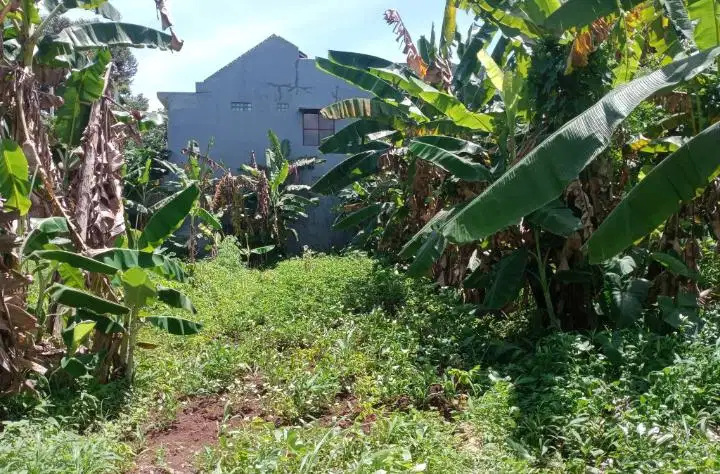 Tanah Selangkah ke Undip Tembalang Semarang