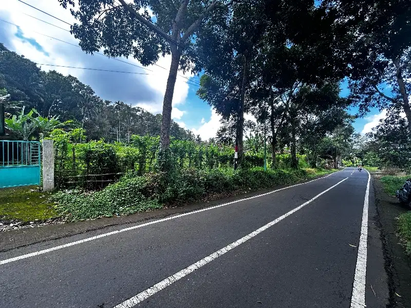 DI JUAL TANAH PROSPEK PINGGIR JALAN LICIN BANYUWANGI