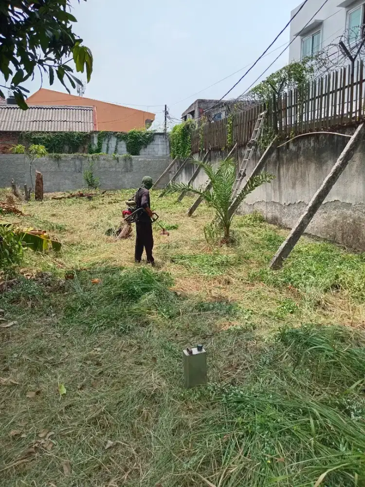 Jasa potong rumput
