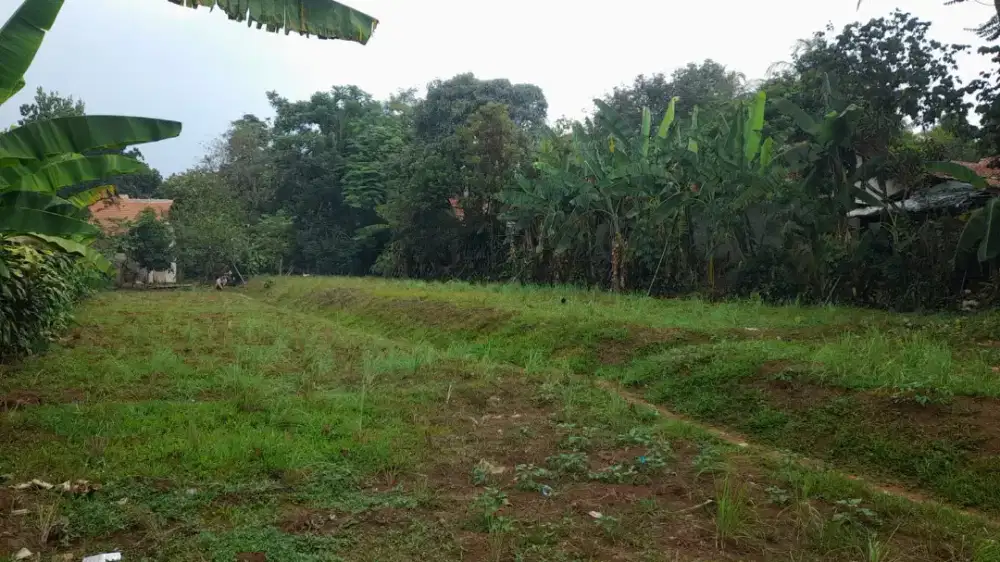 Di jual lhan tanah darat lt 850 mtr lokasi pinggir jln desa