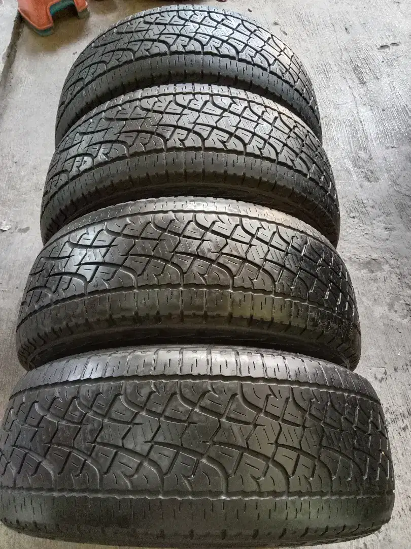 Pirelli scorpion 255 55 R19