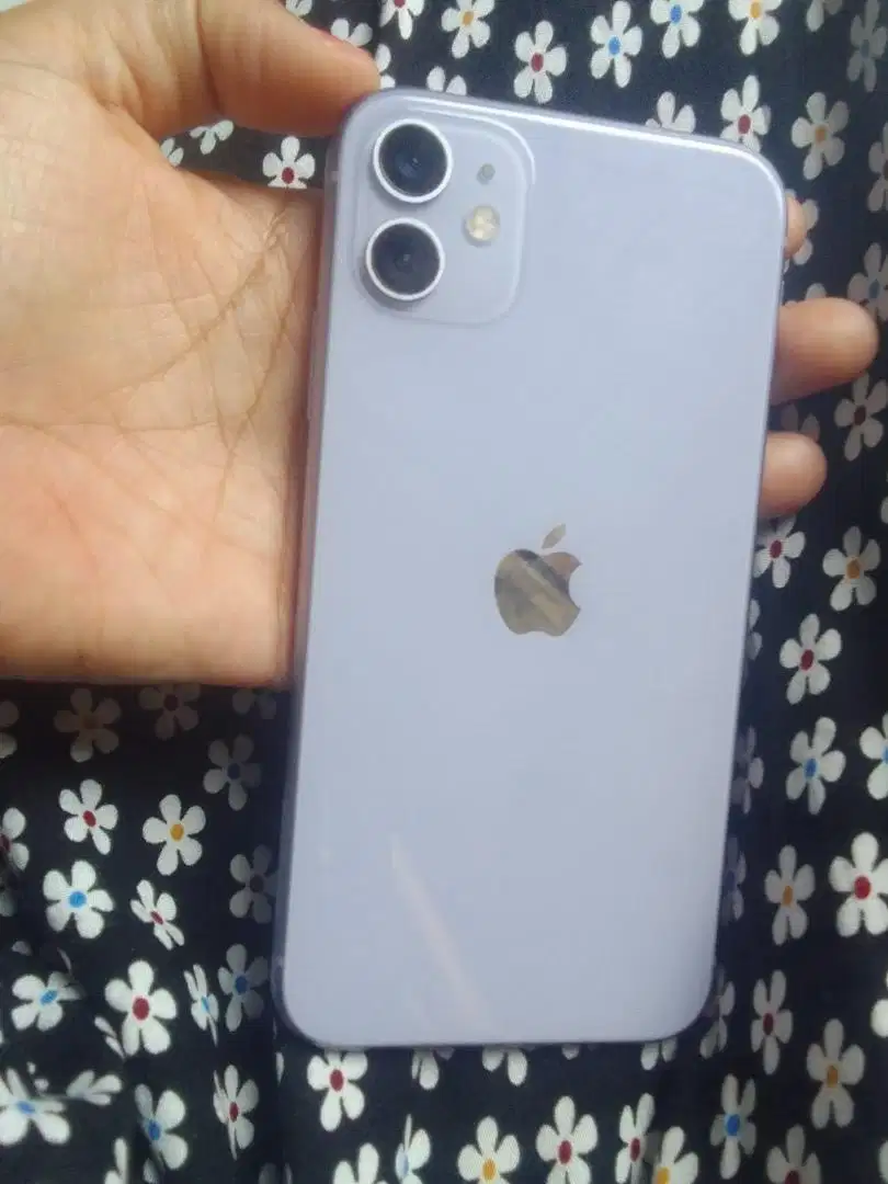 Iphone 11 bea cukai 256 gb parple