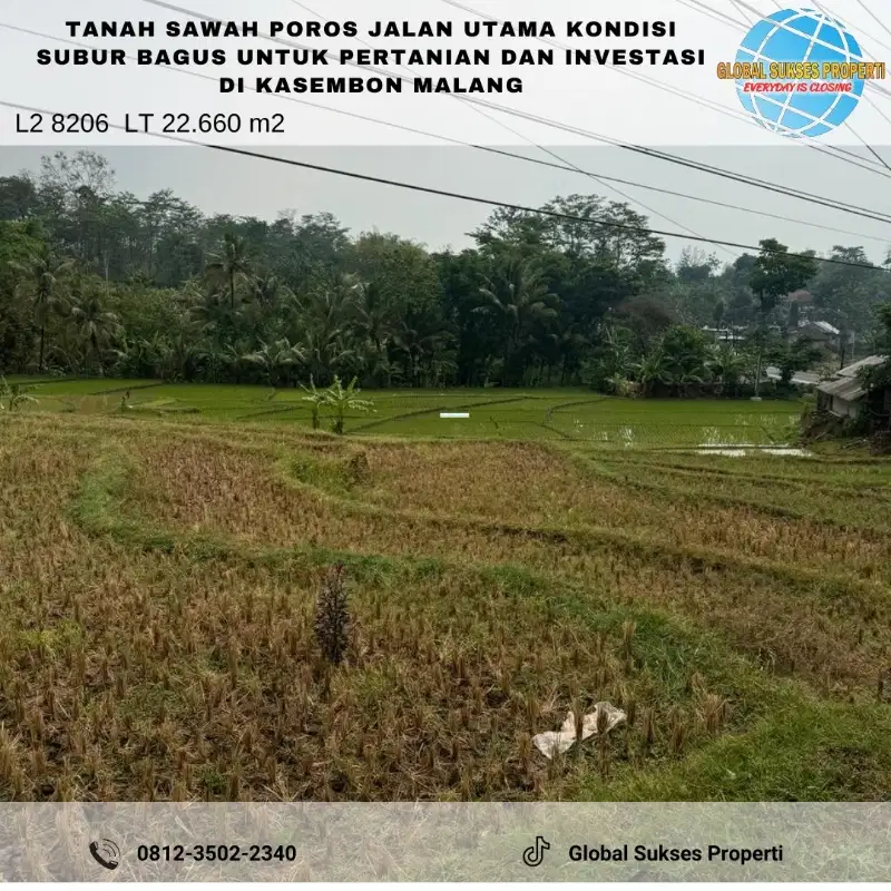 Tanah Sawah luas Poros Jalan bagus untuk investasi di Kasembon Malang