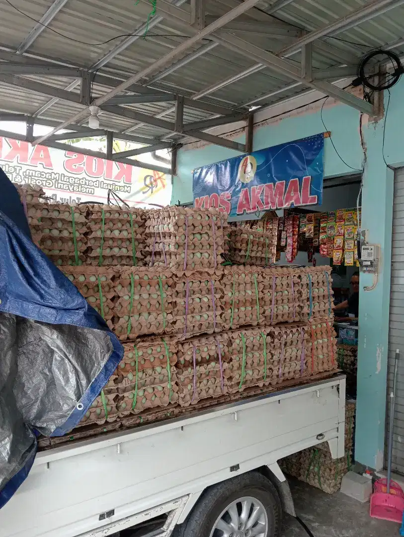 Agen Telur Itik Tambak Barabai  ( Lokal )