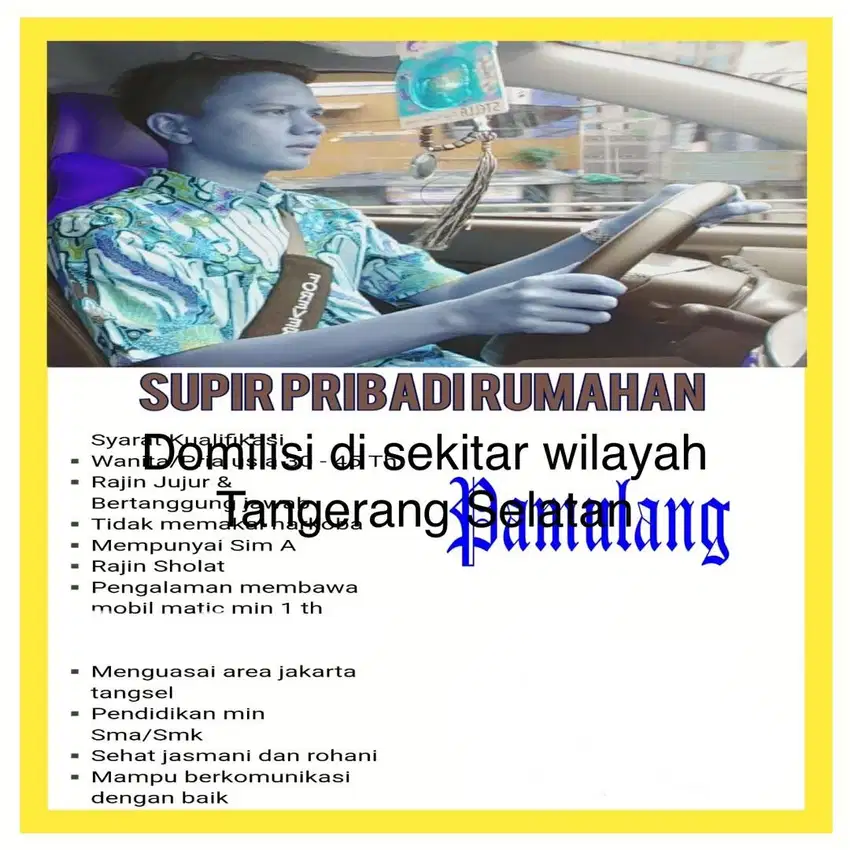 Di Cari Supir Pribadi Rumahan