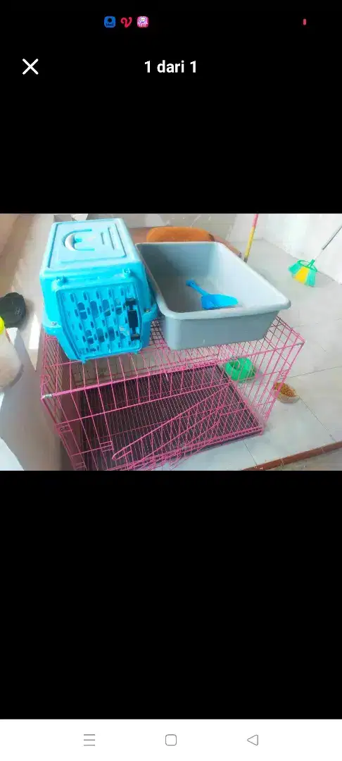 Satu set kandang dan perlengkapan kucing