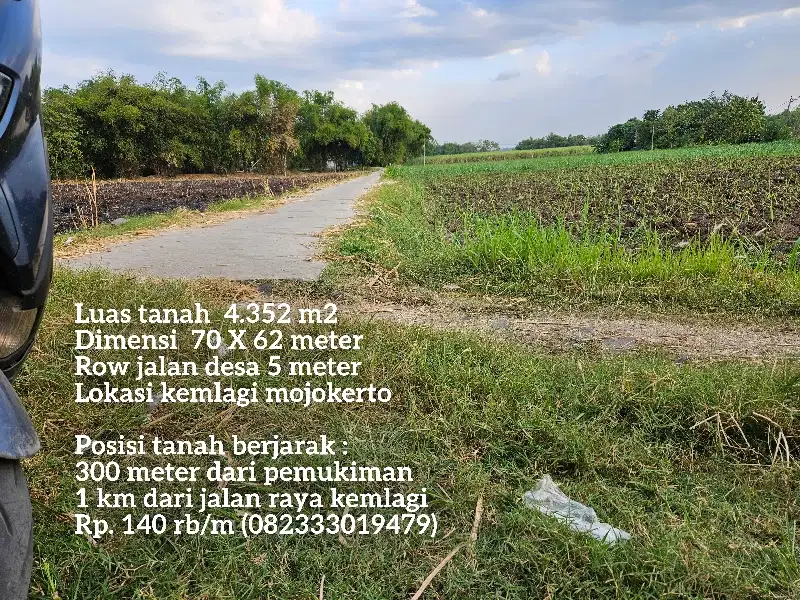 Tanah termurah pinggir jalan desa kemlagi mojokerto