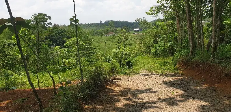 Tanah Pekarangan View Gunung