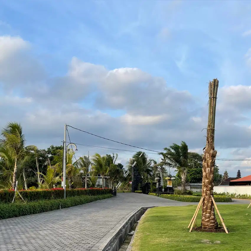 Tanah Kavling Kawasan Villa Dekat Pantai Kedungu