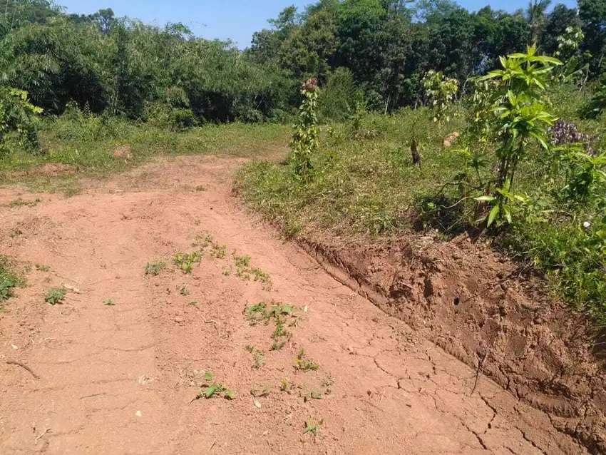 Tanah di Gunung Pati cocok untuk perumahan