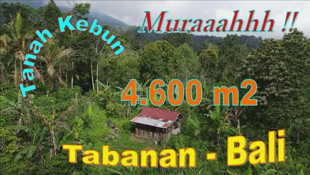 4,600 m2 area Pupuan Tabanan Dekat Hiden Yoga Resort