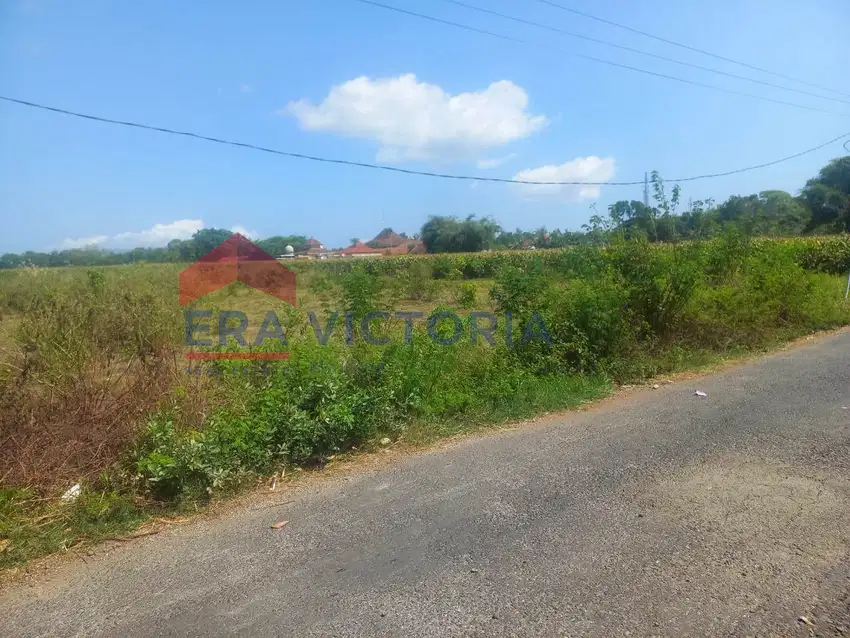 Tanah Jual Daerah Kencong Jember Dekat Sekolah dan Kantor Kelurahan