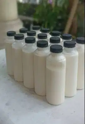 10 liter susu kambing etawa murni 100% kemasan botol 250ml jamin puas