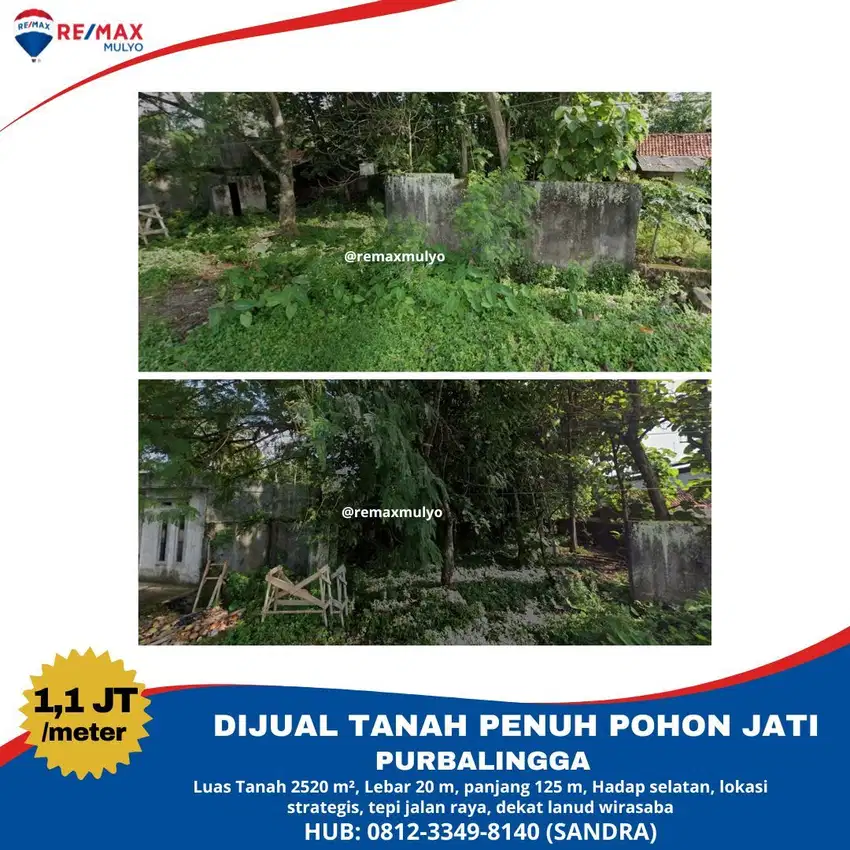 Dijual Tanah Penuh Pohon Jati