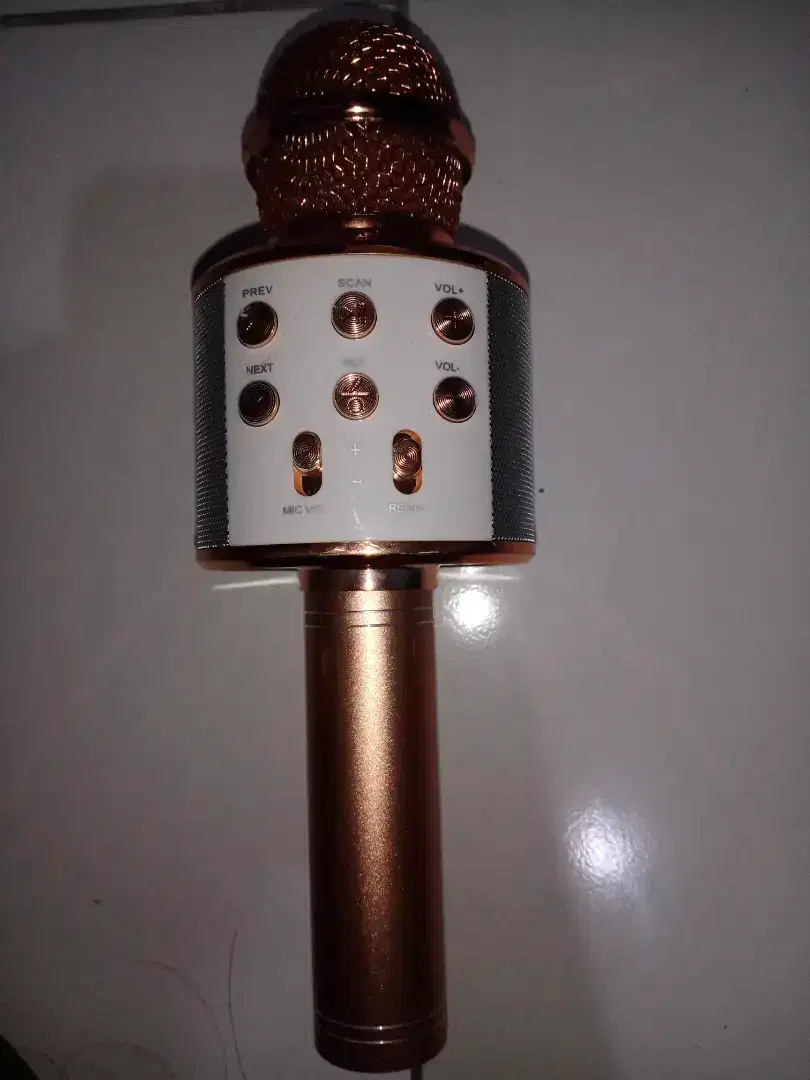 Karaoke Mic Portable