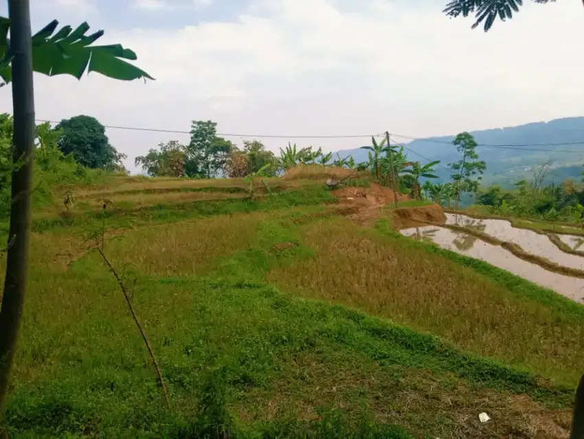 Lahan dan sawah 3000m²  pinggir jalan desa Sukawangi.