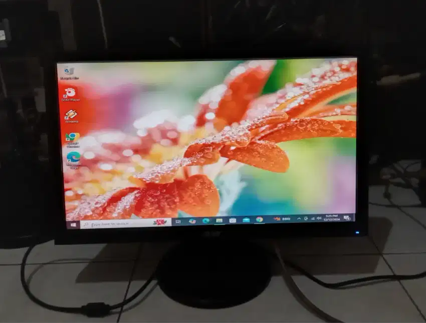 MONITOR LCD 19inch Wide ACER