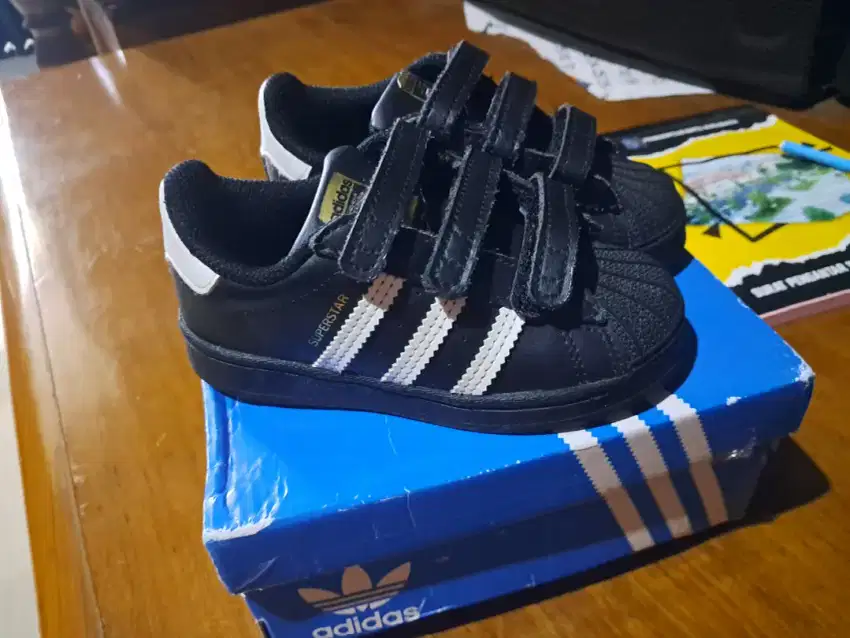 Sepatu adidas superstar original kids