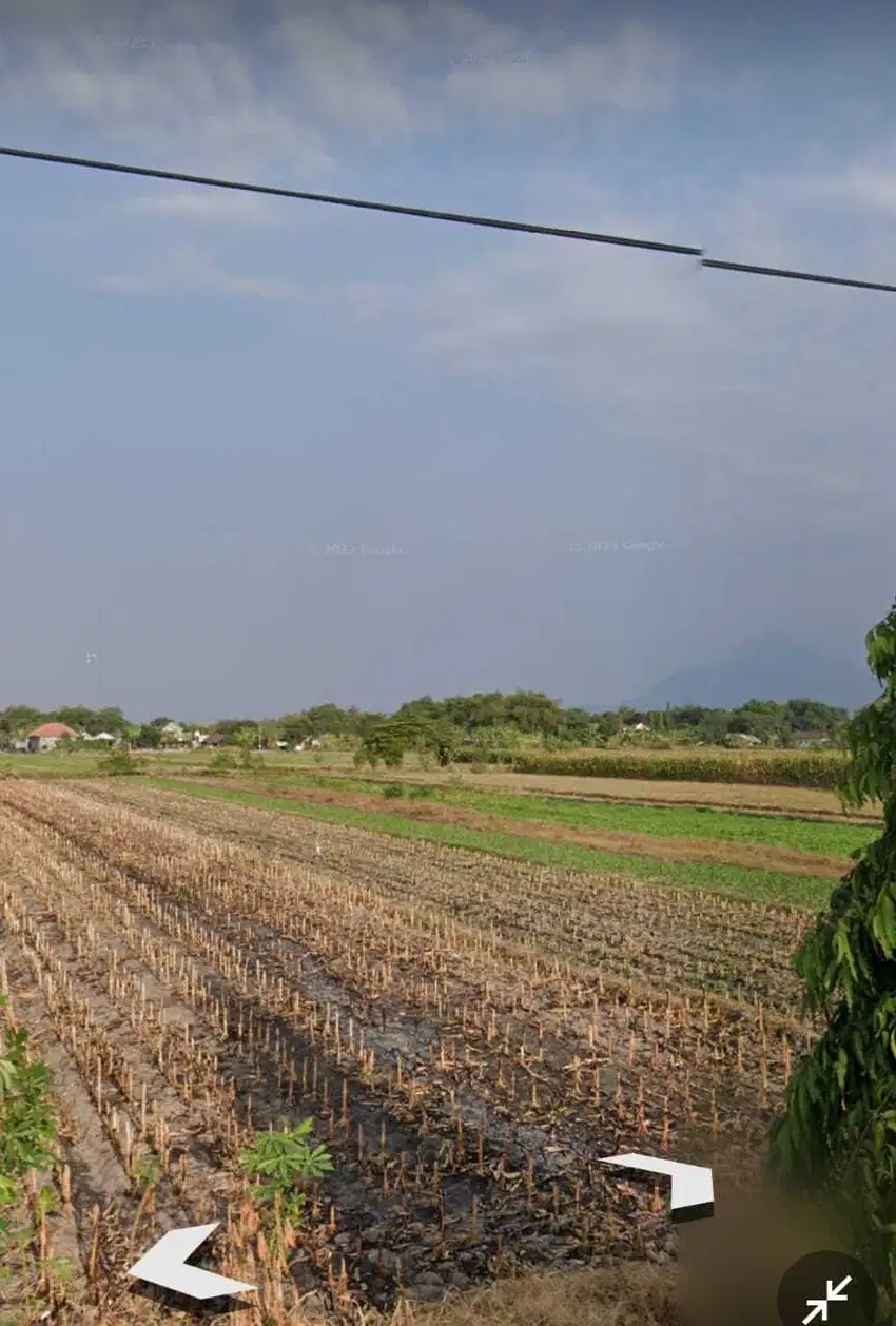 Tanah sawah luas 5 HA harga 500 ribu permeter di Bangsal, Mojokerto