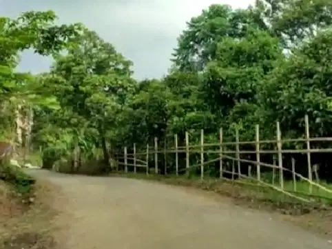 Di Jual kebun Produktik & Eks kandang ayam di jasinga wirajaya Bogor