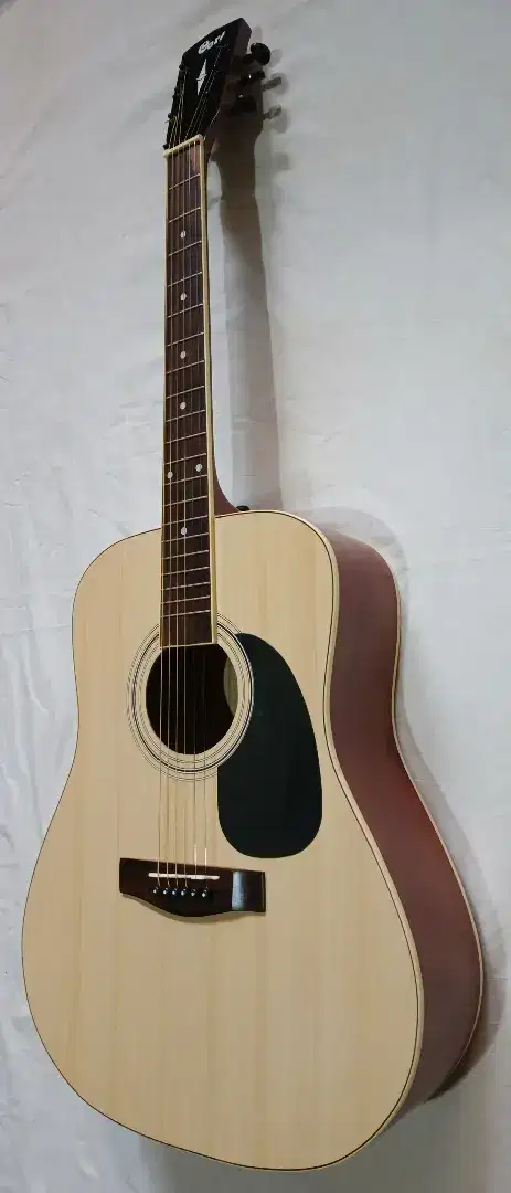 Gitar Cort type AD 810