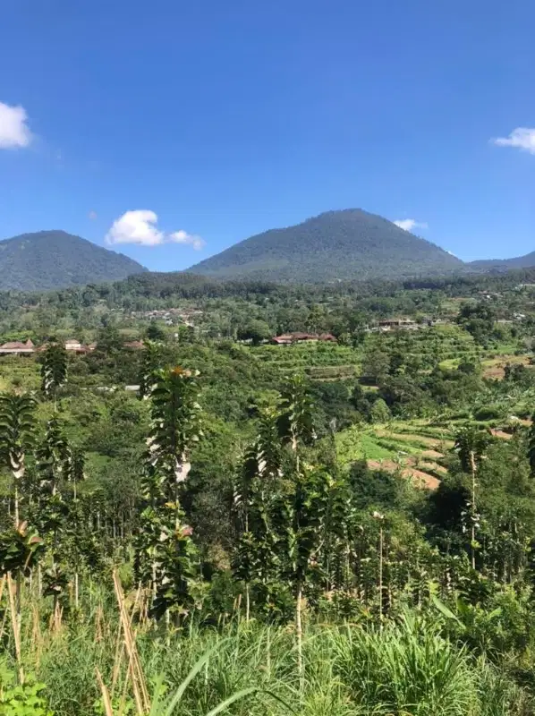 Tanah Murah view Bukit dan Gunung, Baturiti, Bedugul