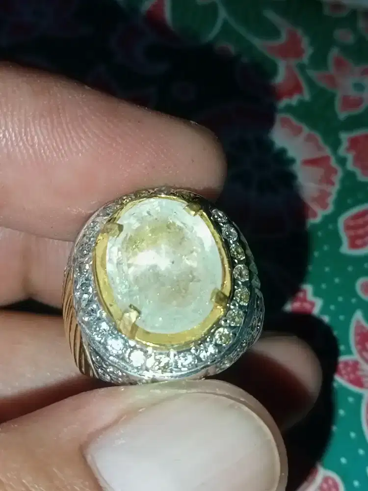 Coroles topas 7, 20crt