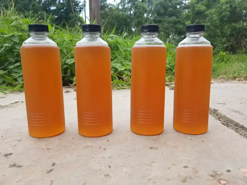 Madu kelulut murni 500ML (750gram)