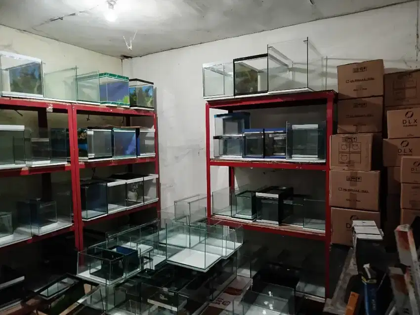Aquarium termurah di jogja