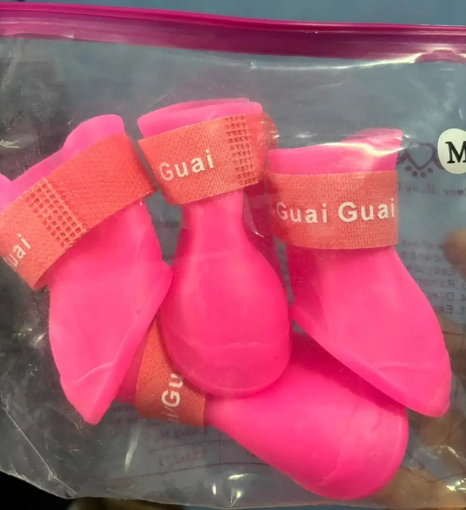 Sepatu Pink Anabul Baru
