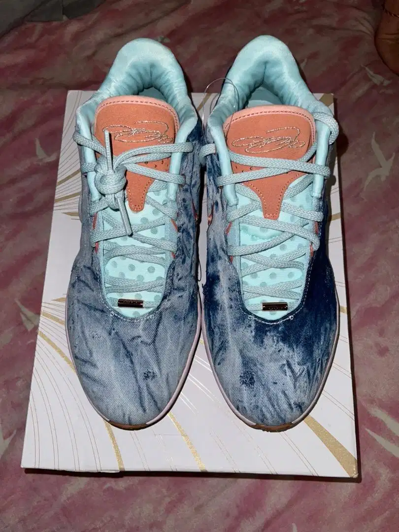 Sepatu Basket Nike Lebron XXI EP Aragonite Jade