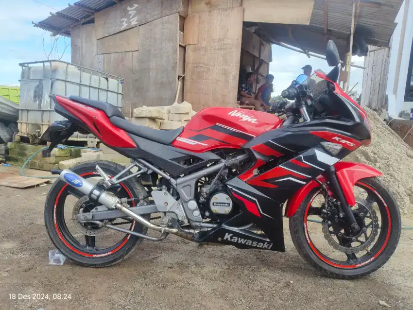 Kawasaki Ninja RR 2014 SUPER KIPS