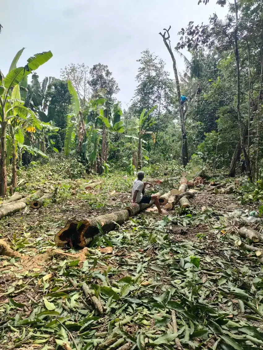 Dijual Tanah dibawah 1 juta dekat RSUD Panembahan Senopati Bantul