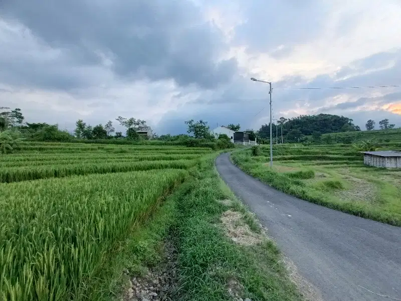 TANAH PACET MOJOKERTO VIEW CANTIK