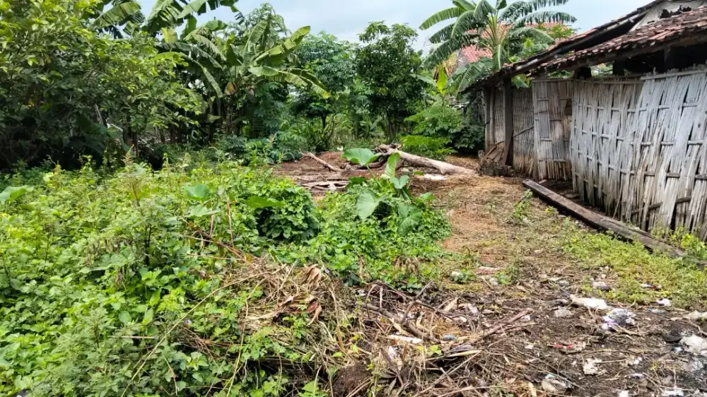 Jual tanah murah lokasi utara plesungan luas 220mtr harga 85jt nego