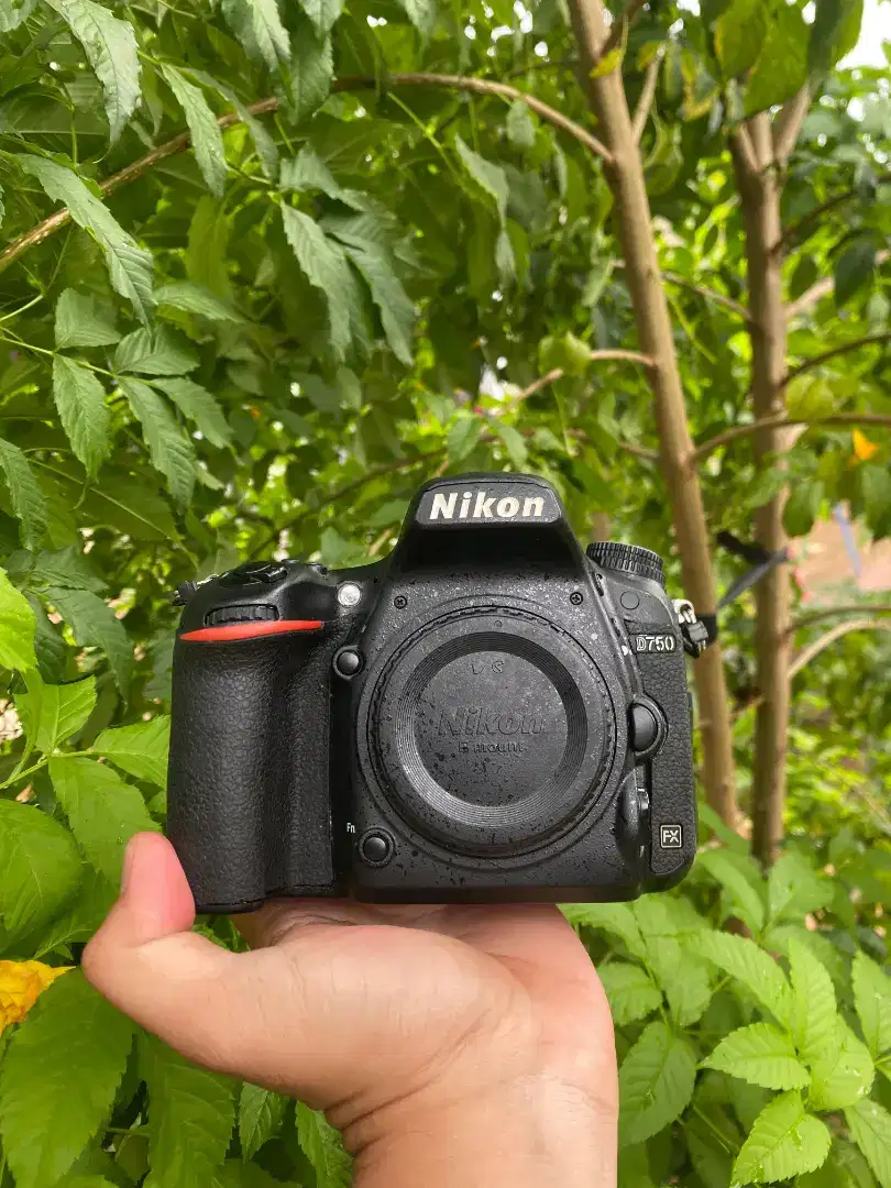 NIKON D750 WIFI BODY ONLY