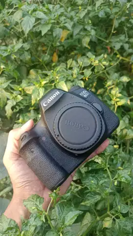 Kamera DSLR Canon 6d Classic