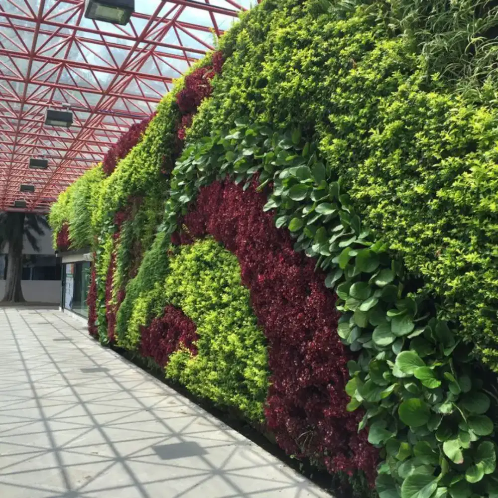 Jasa tukang vertikal garden bergaransi