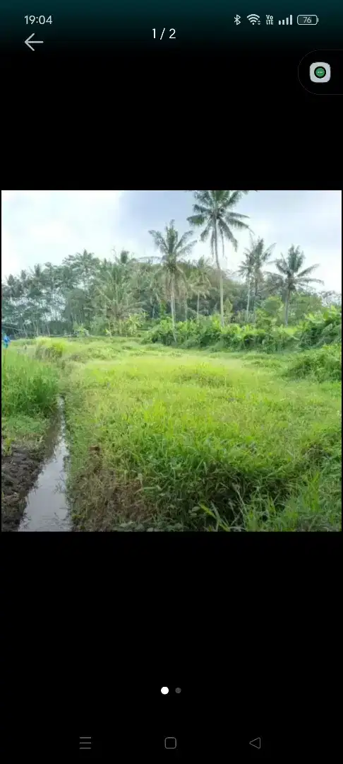 DIJUAL SAWAH DEKAT UNIVERSITAS TIDAR MAGELANG