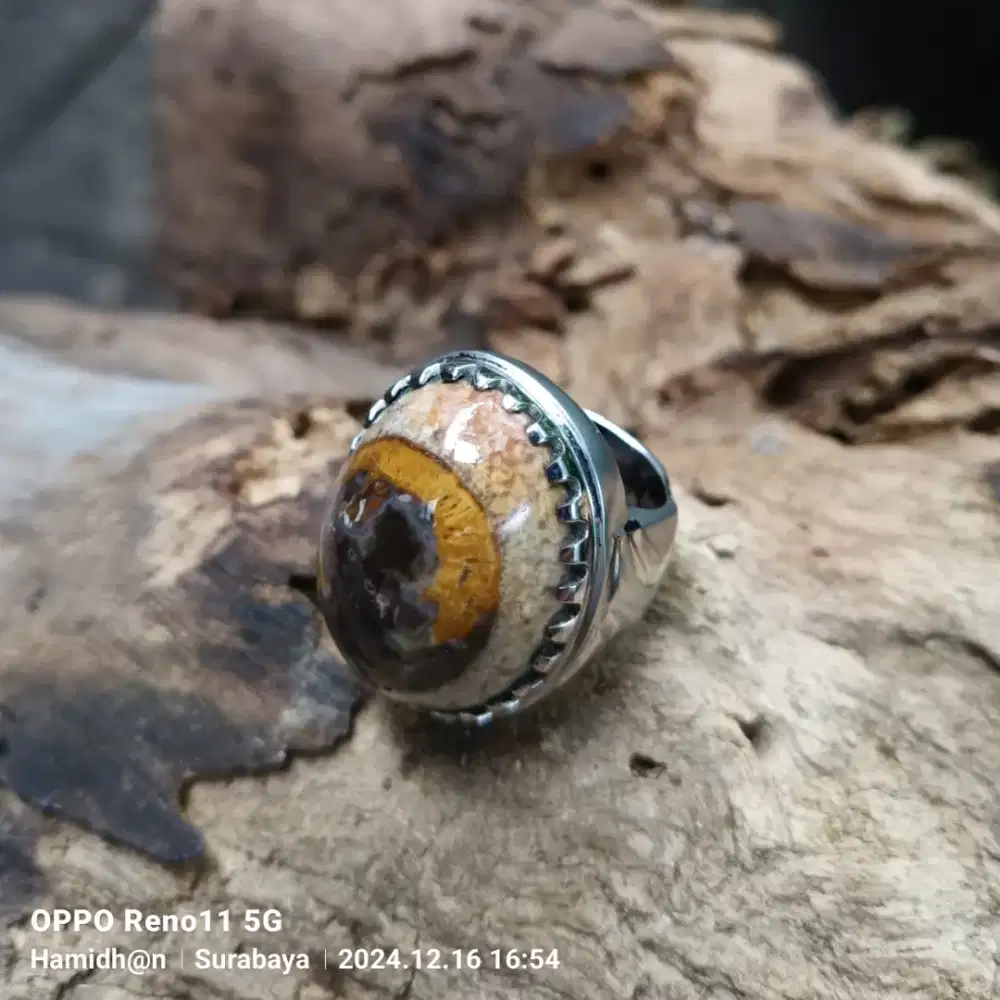 Fosil kayu Unik Ring Monel HM