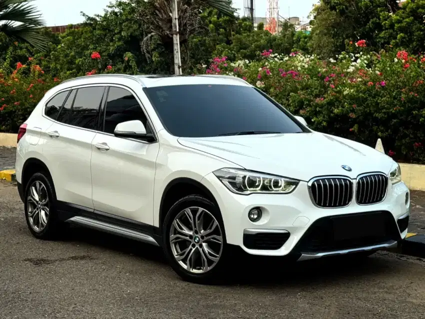 BMW X1 sDrive18i xLine 2019 Low Km