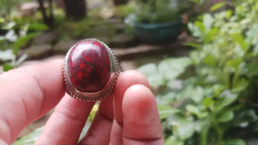 Pirus Beureum (Merah)