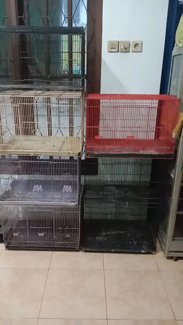 Kandang kucing. Anjing atau kelinci