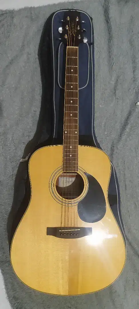 Gitar akustik Segovia D-W07-GN all part original