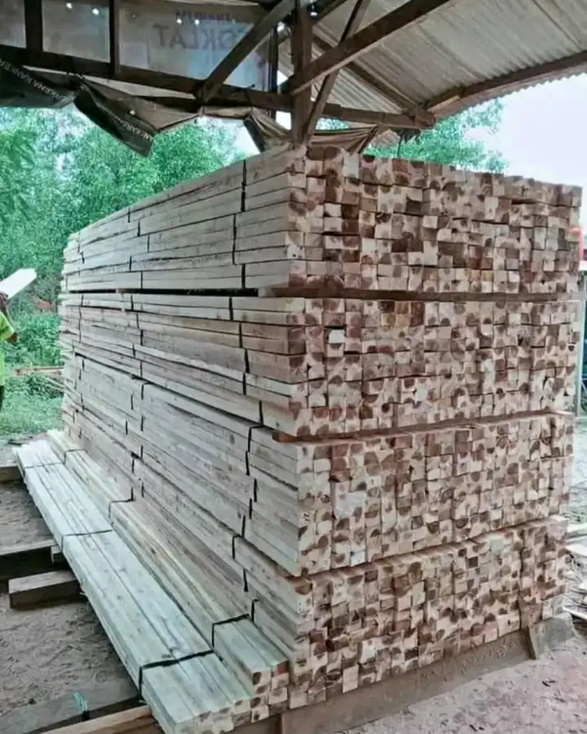 Kayu kaso ikatan super 5/7x4m