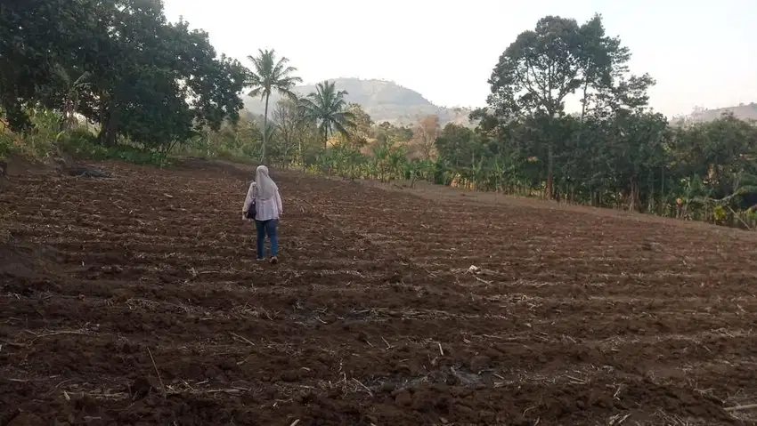 Jual Tanah Kebun Garut (Nego)