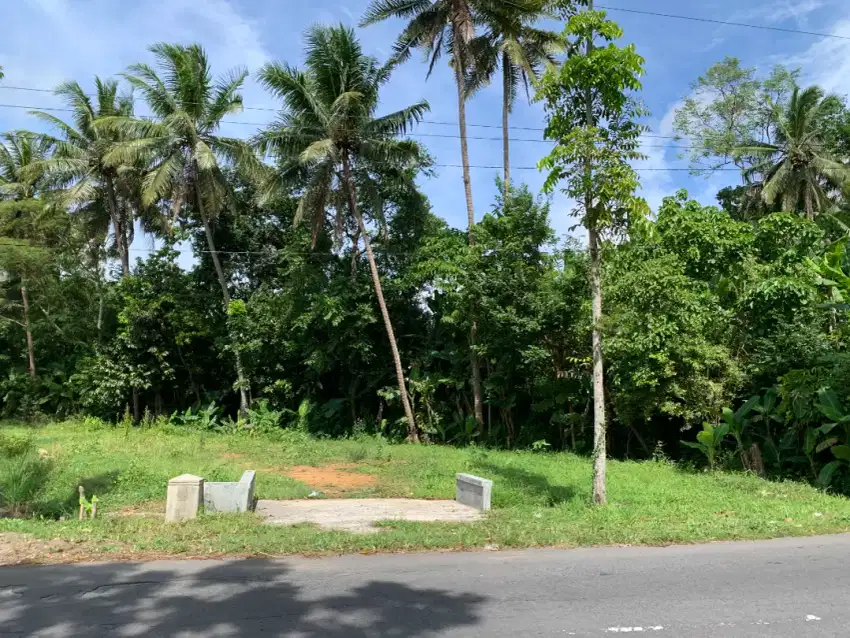 Tanah strategis di kawasan borobudur did pinggir jalan