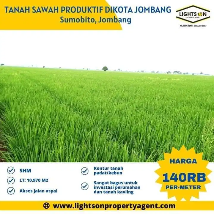 TANAH SAWAH PRODUKTIF DIKOTA JOMBANG