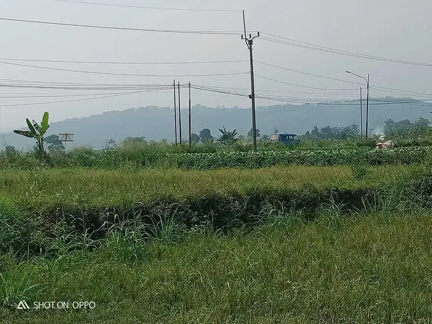 Tanah Pinggir Jalan Cinangneng Tenjolaya Kabupaten Bogor